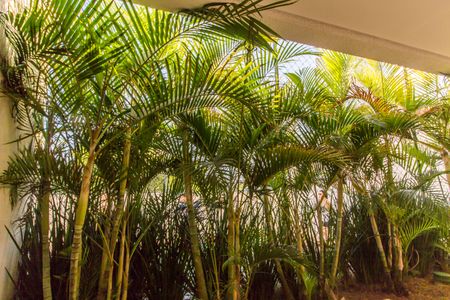 Apartamento para alugar com 53m², 2 quartos e 1 vagaDetalhe