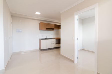 Sala - Cozinha de apartamento para alugar com 2 quartos, 38m² em Jaguaré, São Paulo