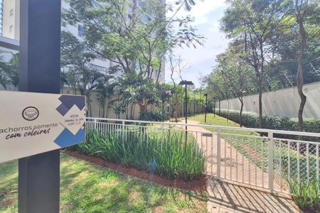 Apartamento para alugar com 62m², 2 quartos e 2 vagasPet Place