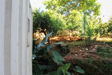 Apartamento à venda com 552m², 12 quartos e 5 vagas Apartamento à venda com 552m², 12 quartos e 5 vagasQuintal