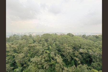 Apartamento para alugar com 243m², 3 quartos e 4 vagasFoto 01