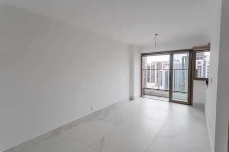 Sala de apartamento para alugar com 2 quartos, 66m² em Santo Agostinho, Belo Horizonte