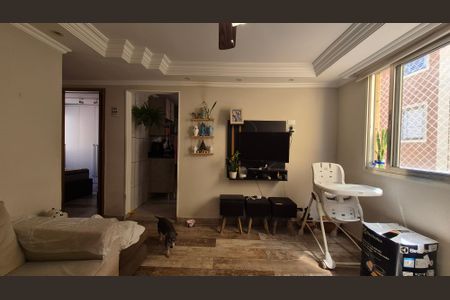 Apartamento à venda com 2 quartos, 55m² em Vila Camilópolis, Santo André