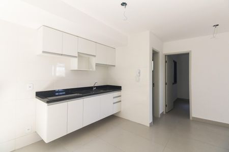 Apartamento para alugar com 46m², 2 quartos e 1 vagaCozinha 