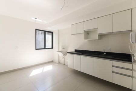Apartamento para alugar com 46m², 2 quartos e 1 vagaCozinha 