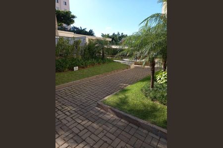 Apartamento à venda com 2 quartos, 49m² em Piqueri, São Paulo