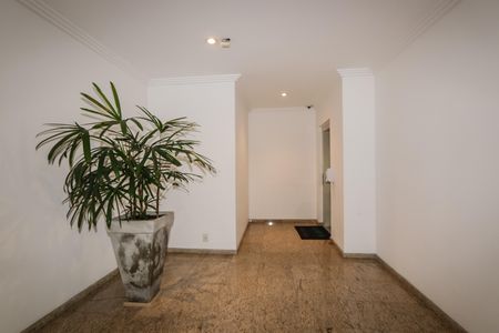 Apartamento para alugar com 101m², 3 quartos e 2 vagas Apartamento para alugar com 101m², 3 quartos e 2 vagasHall de Entrada
