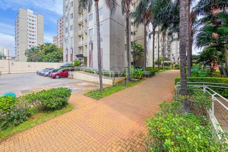 Apartamento para alugar com 73m², 3 quartos e 1 vaga Apartamento para alugar com 73m², 3 quartos e 1 vagaÁrea Externa