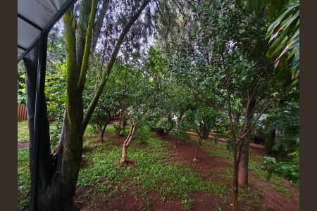 Casa para alugar com 450m², 3 quartos e 3 vagasÁrea externa