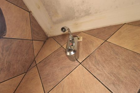 Casa à venda com 235m², 4 quartos e 2 vagasBanheiro 2 - Chuveiro