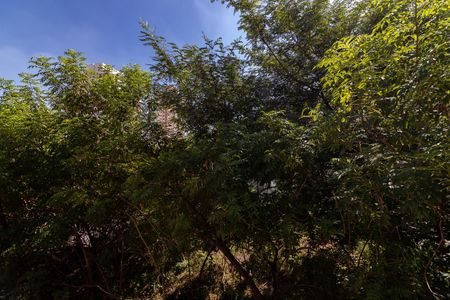 Casa para alugar com 133m², 8 quartos e 1 vagaSuíte 2 - Vista