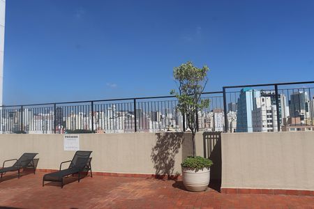 Apartamento para alugar com 33m², 1 quarto e 1 vagaTerraço