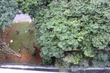 Apartamento à venda com 169m², 3 quartos e 3 vagasVaranda Gourmet 