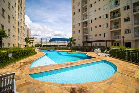 Apartamento para alugar com 58m², 2 quartos e 1 vaga Apartamento para alugar com 58m², 2 quartos e 1 vagaÁrea comum - Piscina