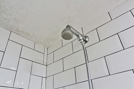 Apartamento à venda com 52m², 2 quartos e sem vagaBanheiro