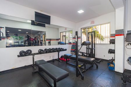 Apartamento para alugar com 88m², 3 quartos e 1 vaga Apartamento para alugar com 88m², 3 quartos e 1 vagaAcademia