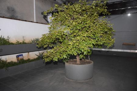 Casa para alugar com 160m², 3 quartos e sem vagaChurrasqueira