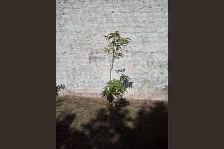 Casa à venda com 314m², 2 quartos e 4 vagas