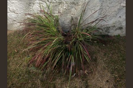 Casa à venda com 314m², 2 quartos e 4 vagas