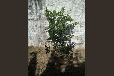 Casa à venda com 314m², 2 quartos e 4 vagas