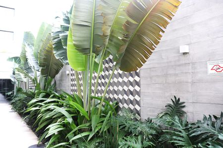 Apartamento para alugar com 27m², 1 quarto e 1 vagaÁrea Comum