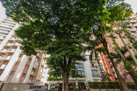 Apartamento à venda com 95m², 3 quartos e 1 vaga