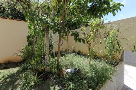 Casa para alugar com 200m², 3 quartos e 7 vagas Casa para alugar com 200m², 3 quartos e 7 vagasQuintal