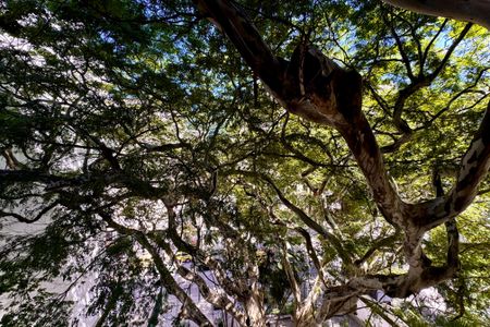 Apartamento à venda com 100m², 3 quartos e 1 vaga