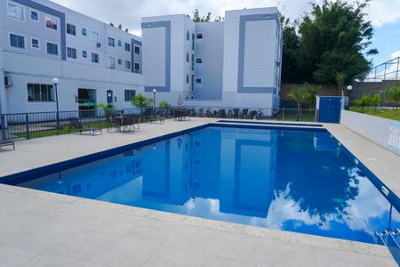 Apartamento para alugar com 55m², 2 quartos e 1 vaga Apartamento para alugar com 55m², 2 quartos e 1 vagaÁrea comum - Piscina