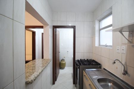 Apartamento para alugar com 43m², 1 quarto e sem vagaCozinha