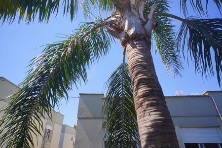 Apartamento à venda com 58m², 1 quarto e sem vaga Apartamento à venda com 58m², 1 quarto e sem vagaQuarto 2_Vista