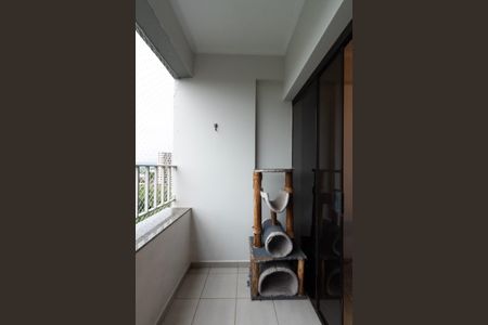 Varanda Sala de apartamento para alugar com 3 quartos, 113m² em Centro, Sorocaba