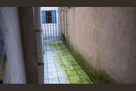 Casa para alugar com 35m², 2 quartos e sem vagaQuintal