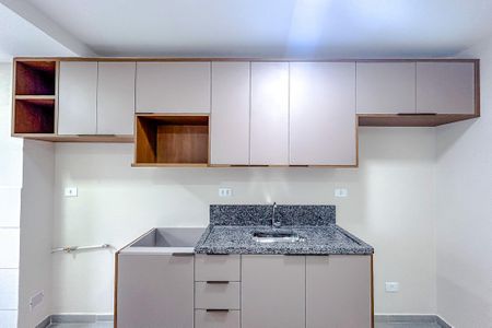 Apartamento à venda com 52m², 2 quartos e 1 vagaCozinha - Armários
