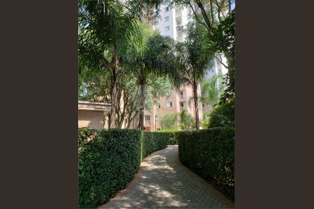 Apartamento à venda com 2 quartos, 63m² em Jaguaré, São Paulo