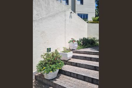 Apartamento à venda com 2 quartos, 53m² em Parque Maria Domitila, São Paulo