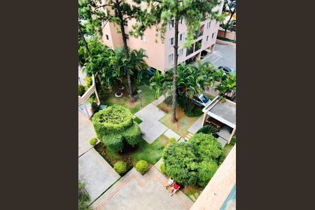 Apartamento à venda com 3 quartos, 65m² em Vila Butantã, São Paulo