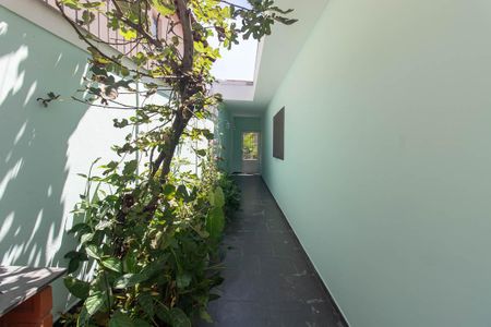 Casa para alugar com 270m², 4 quartos e 3 vagas Casa para alugar com 270m², 4 quartos e 3 vagasCorredor externo