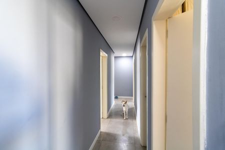 Casa à venda com 297m², 3 quartos e 2 vagas Casa à venda com 297m², 3 quartos e 2 vagasCorredor