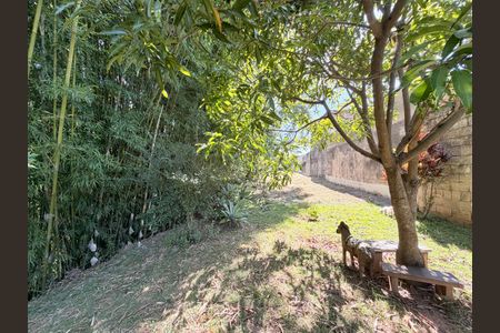 Casa à venda com 250m², 3 quartos e 2 vagasÁrea de mata atras da casa