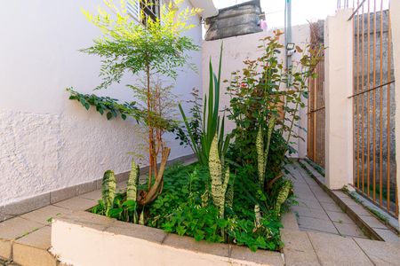 Casa à venda com 125m², 2 quartos e 1 vaga Casa à venda com 125m², 2 quartos e 1 vagaJardim