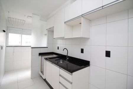 Apartamento à venda com 52m², 2 quartos e 1 vagaCozinha - Armários