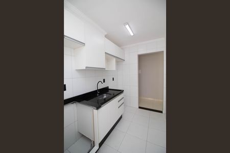 Apartamento à venda com 52m², 2 quartos e 1 vagaCozinha - Armários