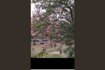 Apartamento à venda com 76m², 3 quartos e 1 vaga Apartamento à venda com 76m², 3 quartos e 1 vagaFoto 08