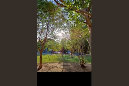 Apartamento à venda com 76m², 3 quartos e 1 vaga Apartamento à venda com 76m², 3 quartos e 1 vagaFoto 31