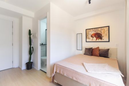 Studio de kitnet/studio para alugar com 1 quarto, 20m² em Vila Taquari, São Paulo