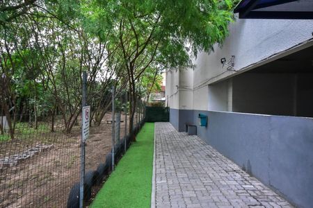 Espaço Pet de apartamento para alugar com 2 quartos, 50m² em Jardim Umarizal, São Paulo