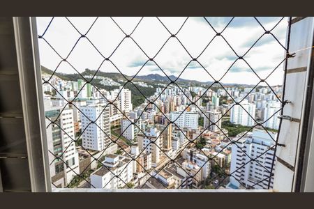 Vista do Quarto 1 de apartamento para alugar com 2 quartos, 60m² em Buritis, Belo Horizonte