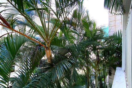 Apartamento para alugar com 85m², 3 quartos e 2 vagas Apartamento para alugar com 85m², 3 quartos e 2 vagasVista da Sala