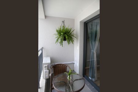 Studio para alugar com 28m², 1 quarto e sem vaga